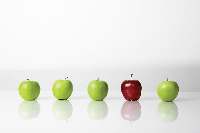 Working with Red Apples Media Helps You Stand Out From The Bunch!